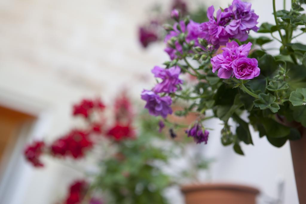 Bed and Breakfast 19Venti Lecce Exterior foto